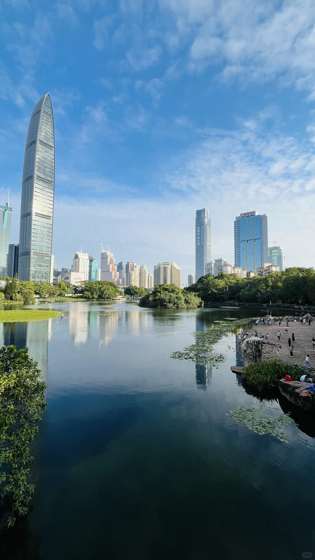 深圳福田荔枝公园游玩攻略