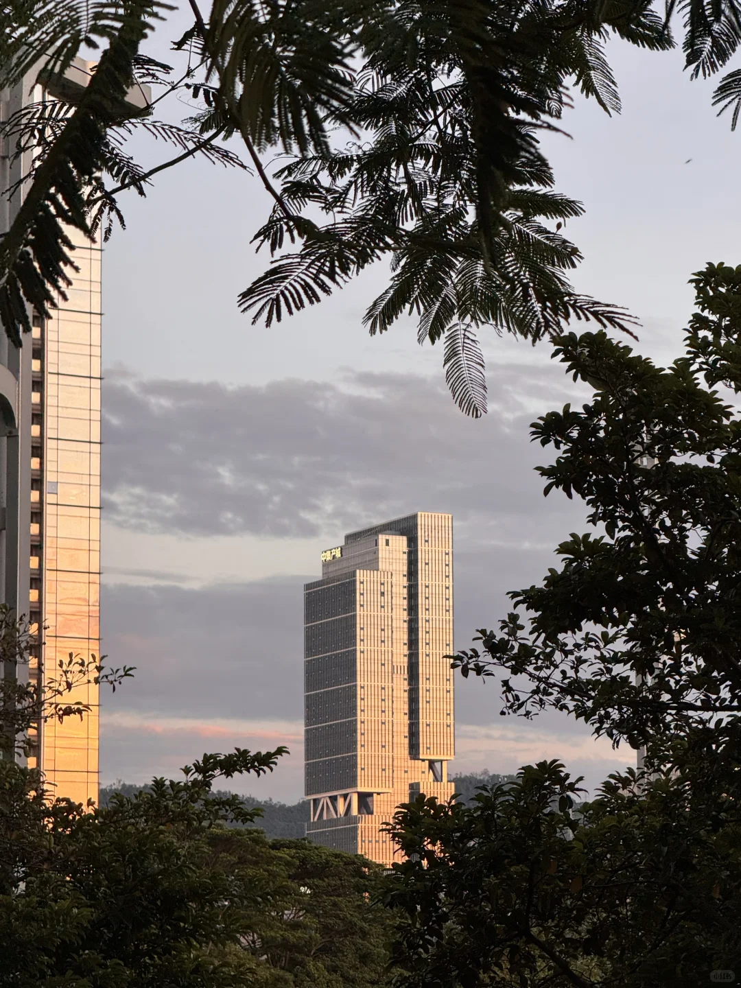 喜欢深圳的9张live图