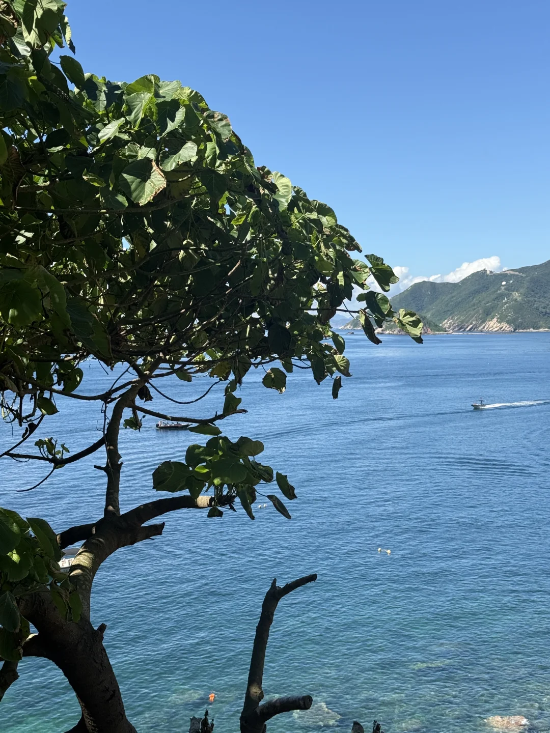 📍SHENZHEN｜ 深圳·天文台