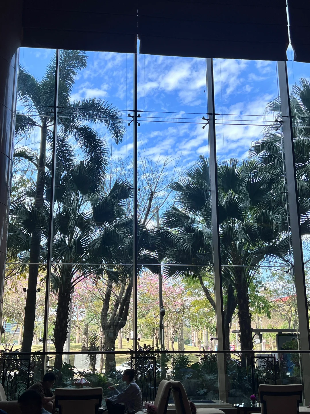 谁懂今天深圳的的好天气 蓝天白云🩵live图