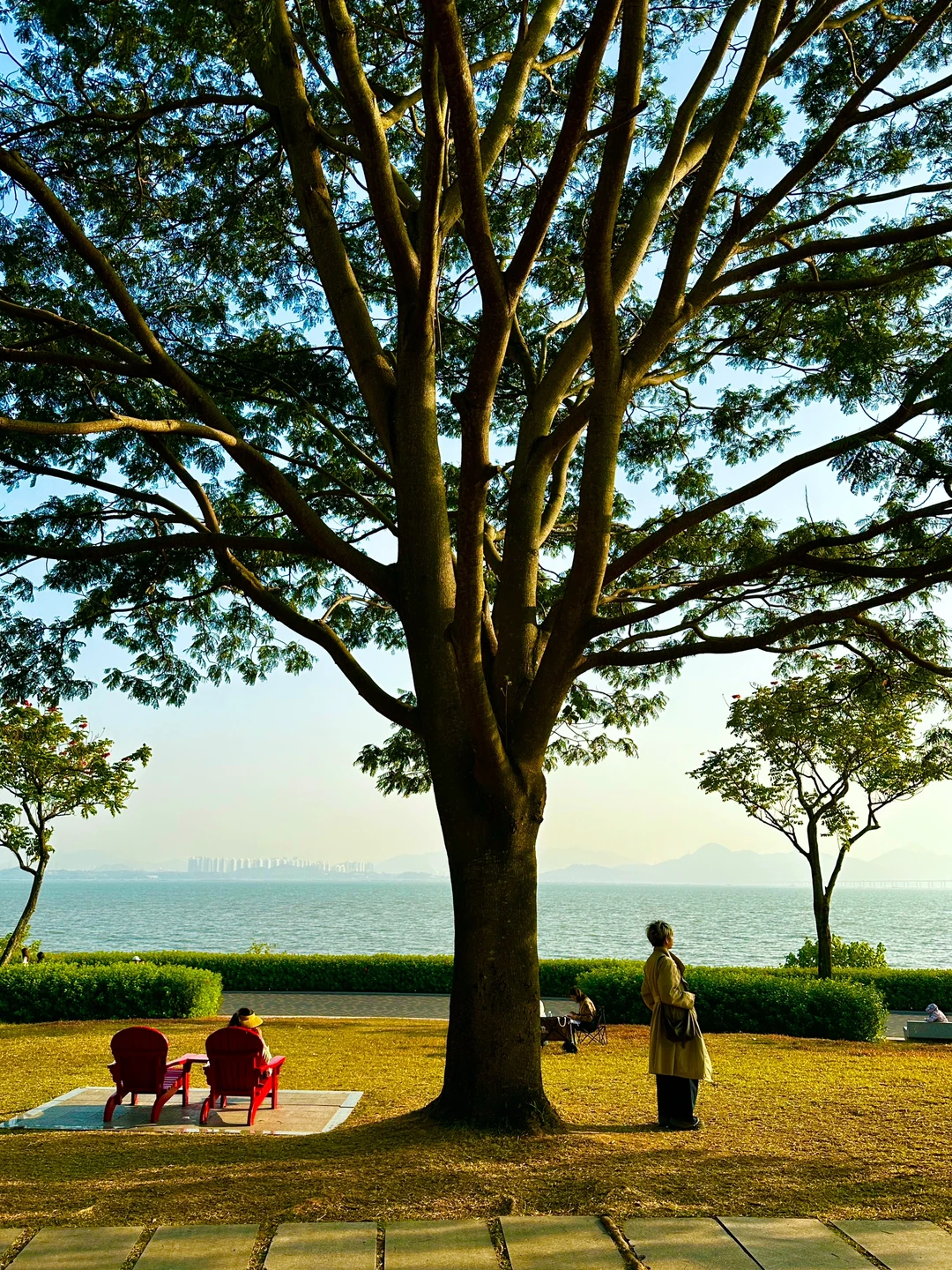 为了这18张图📸我来了趟深圳！！附地址