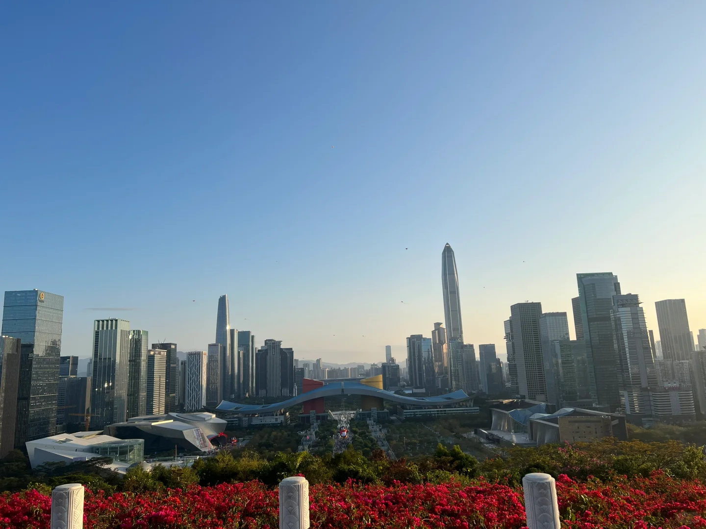 深圳大年初一🧧