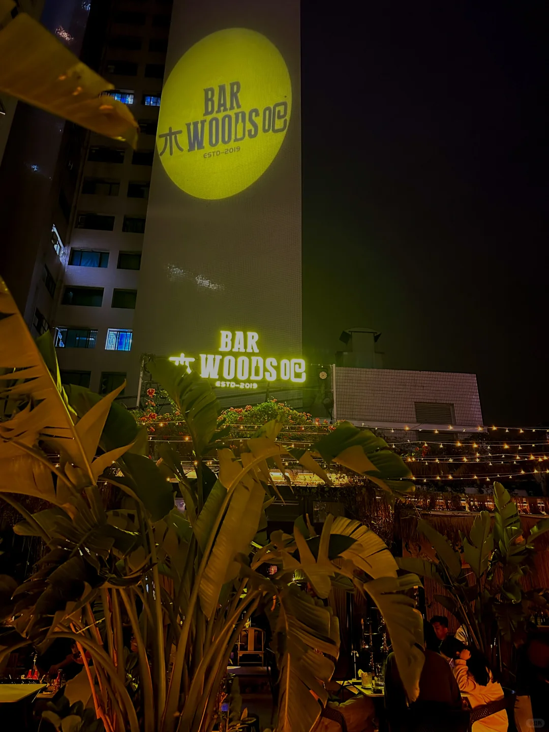 小众但超快乐的小夜宵局🏮 深圳小酌怡情🥃