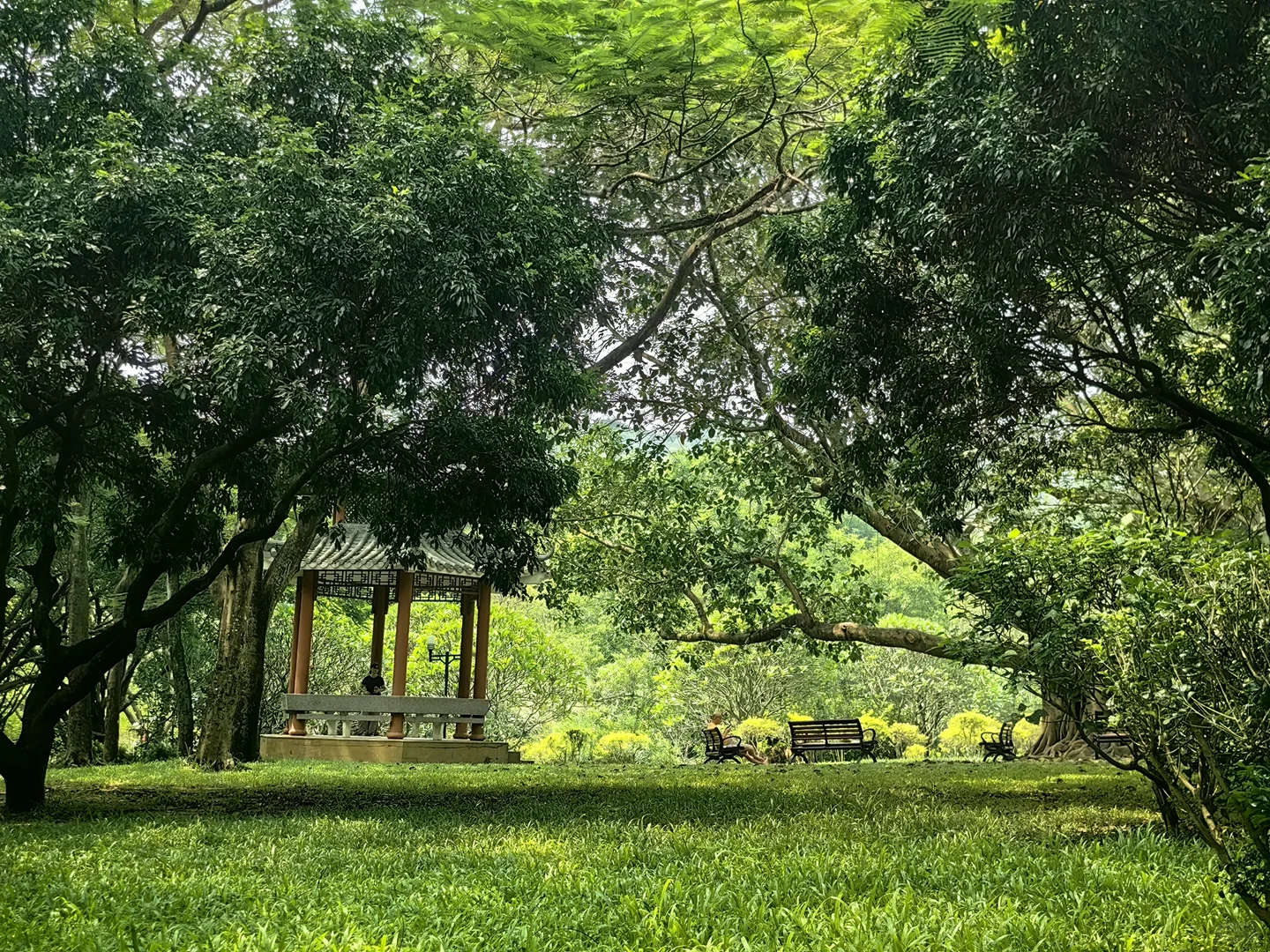 深圳周末好去处