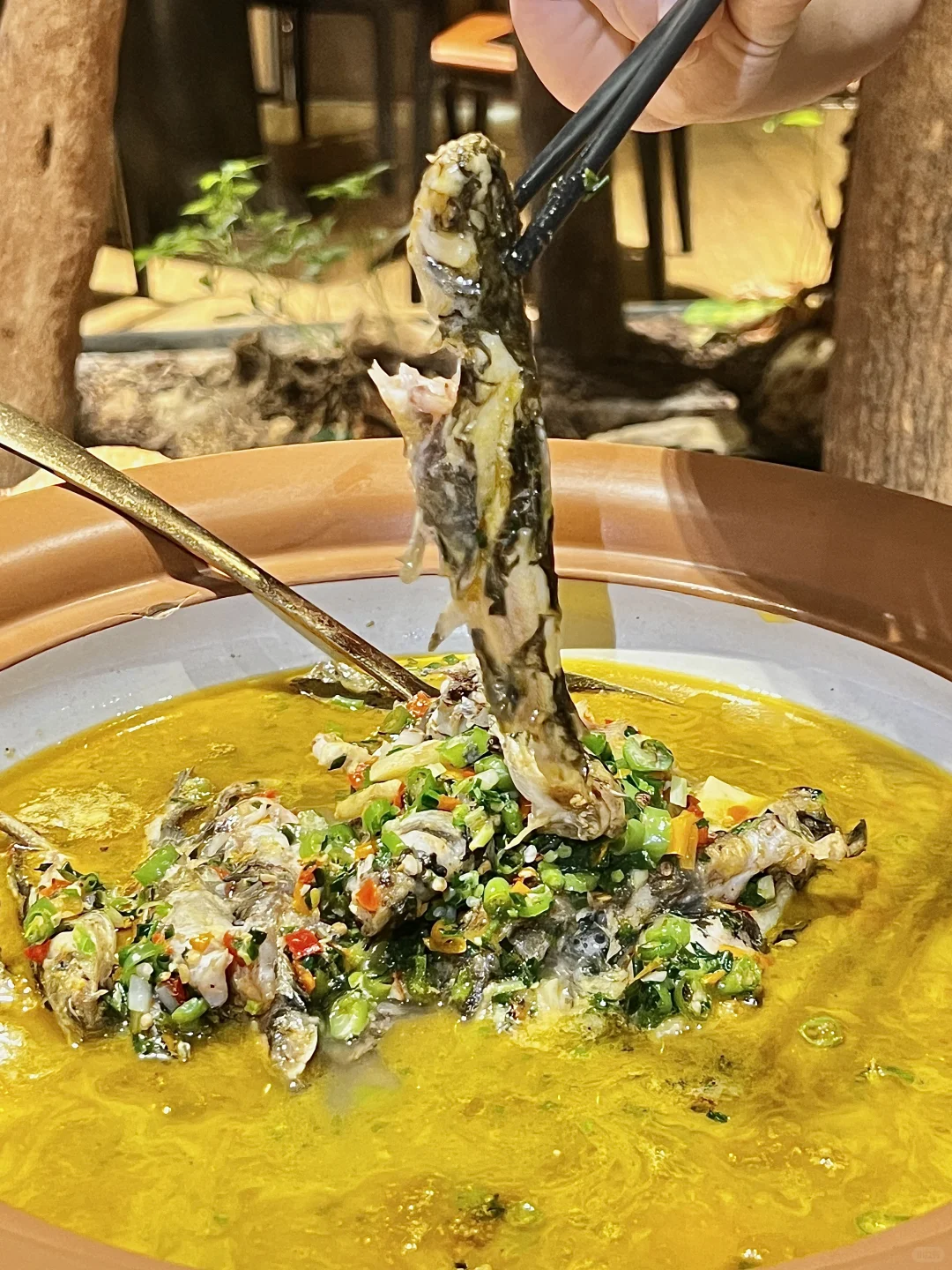 深圳这家宝藏湘菜馆🌶️经典百吃不腻！