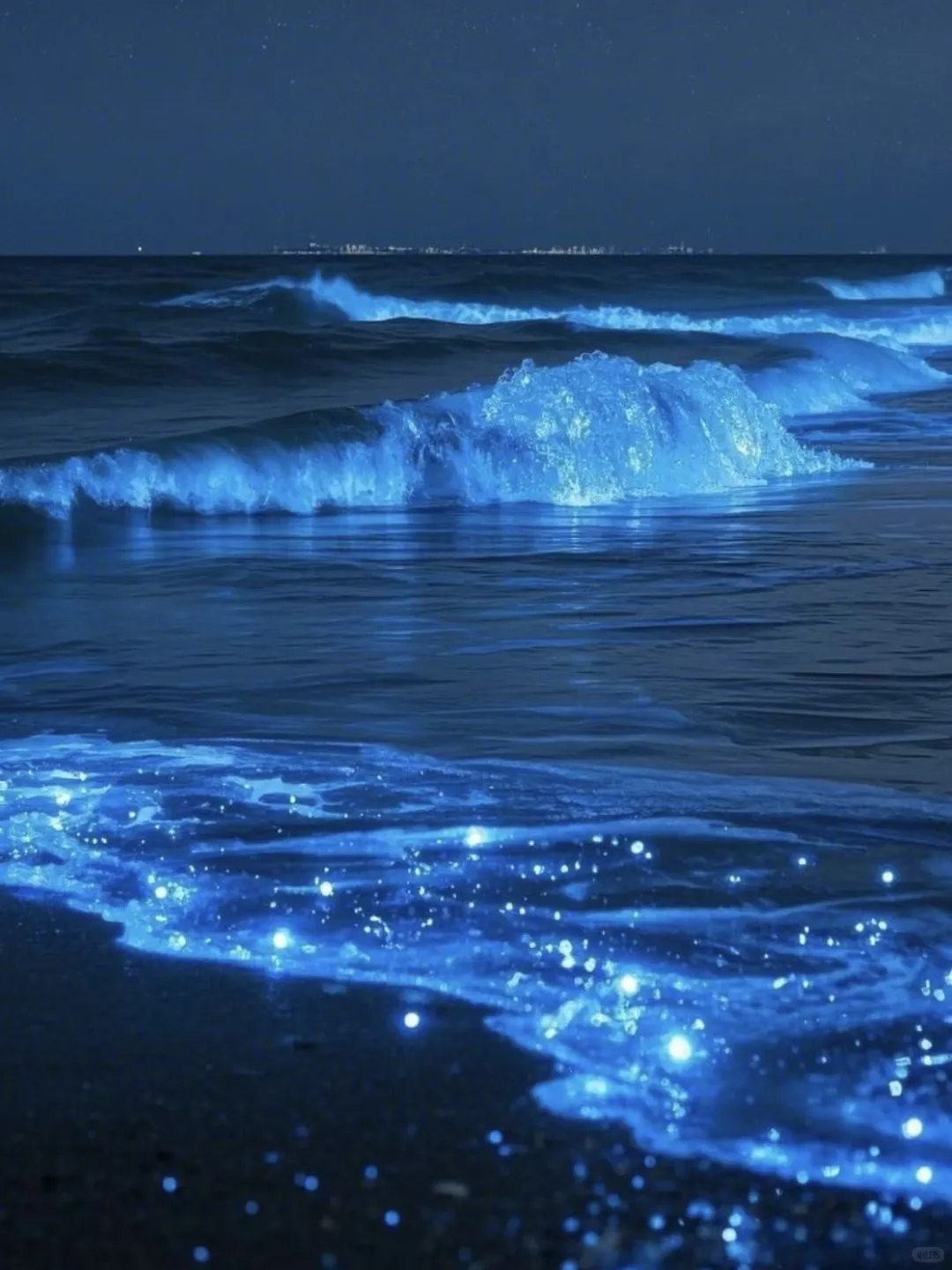 深圳大鹏蓝眼泪全攻略！荧光海的终极浪漫💙