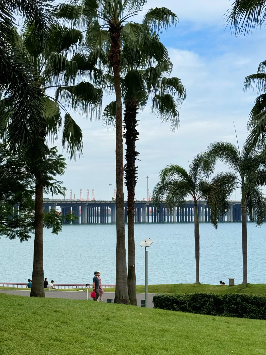 深圳很chill🌴喝咖啡逛公园