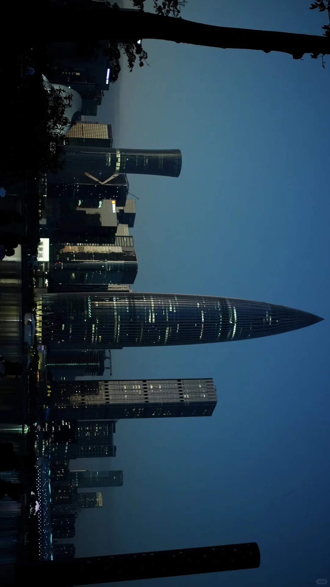 深圳湾日常存档