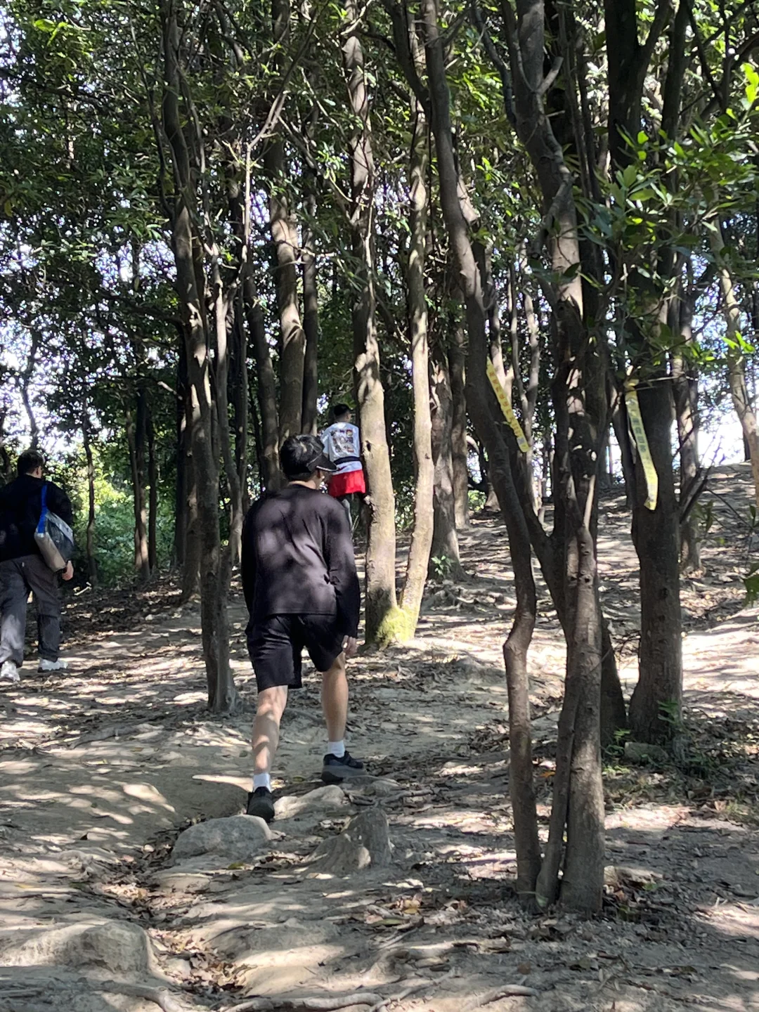 广州市区的“布罗莫”徒步！新手友好！