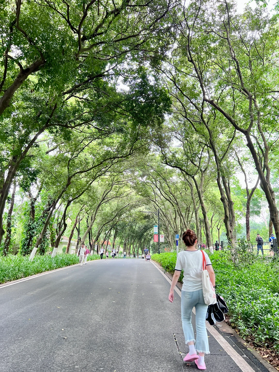 广州让我觉得反差感很大的城市