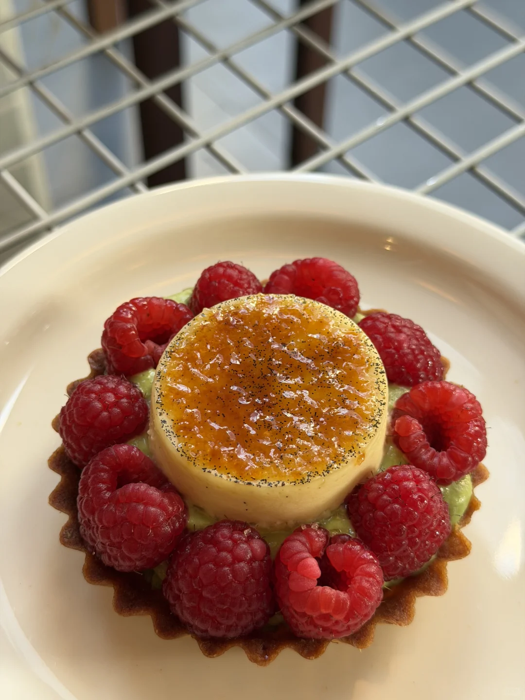 东莞簪花路真的好好拍📸📸