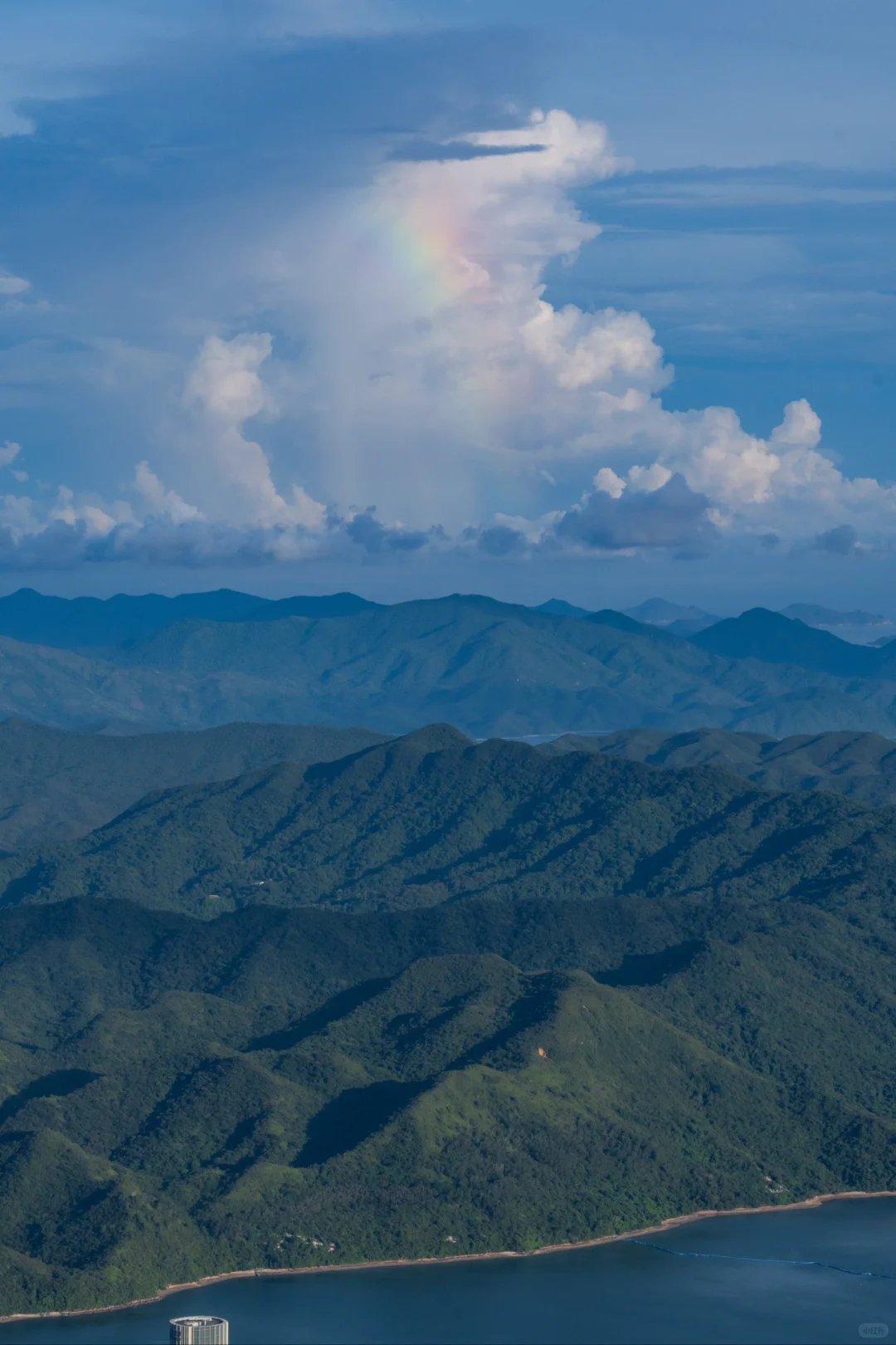 在深圳拍到了维港 ，香港第一高楼你敢信