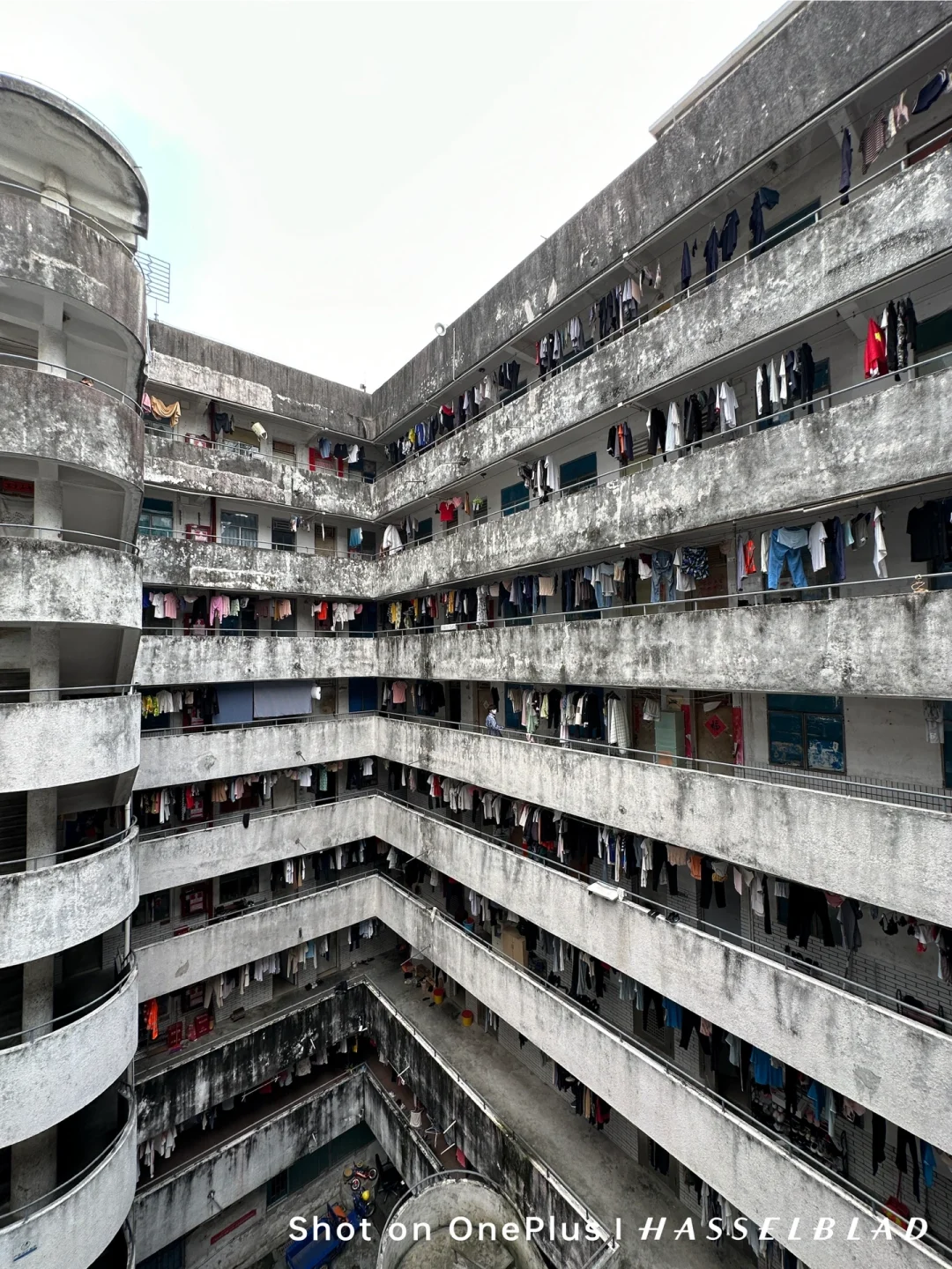 不是Ai😭你敢相信这是在深圳南山区市中心❓