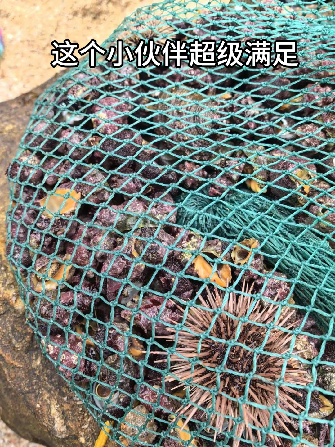 不去人挤人！深圳未开发秘境，超适合赶海！