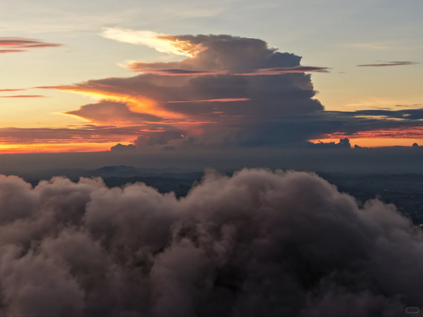在深圳拍到了维港 ，香港第一高楼你敢信