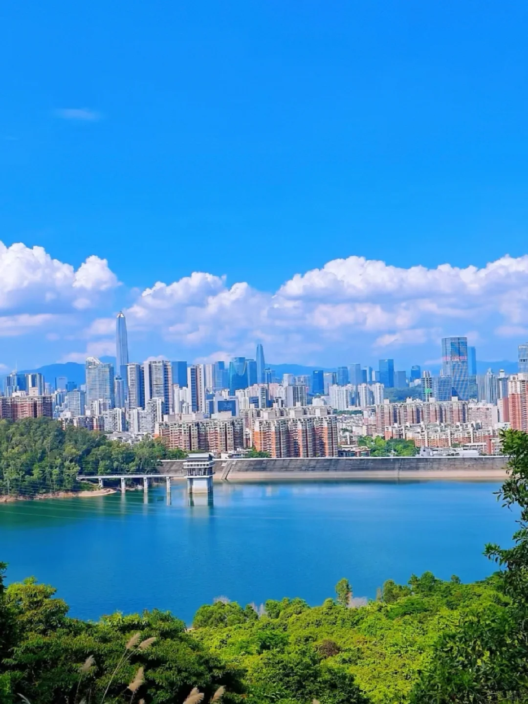 竟然没人宣传深圳这个公园！！