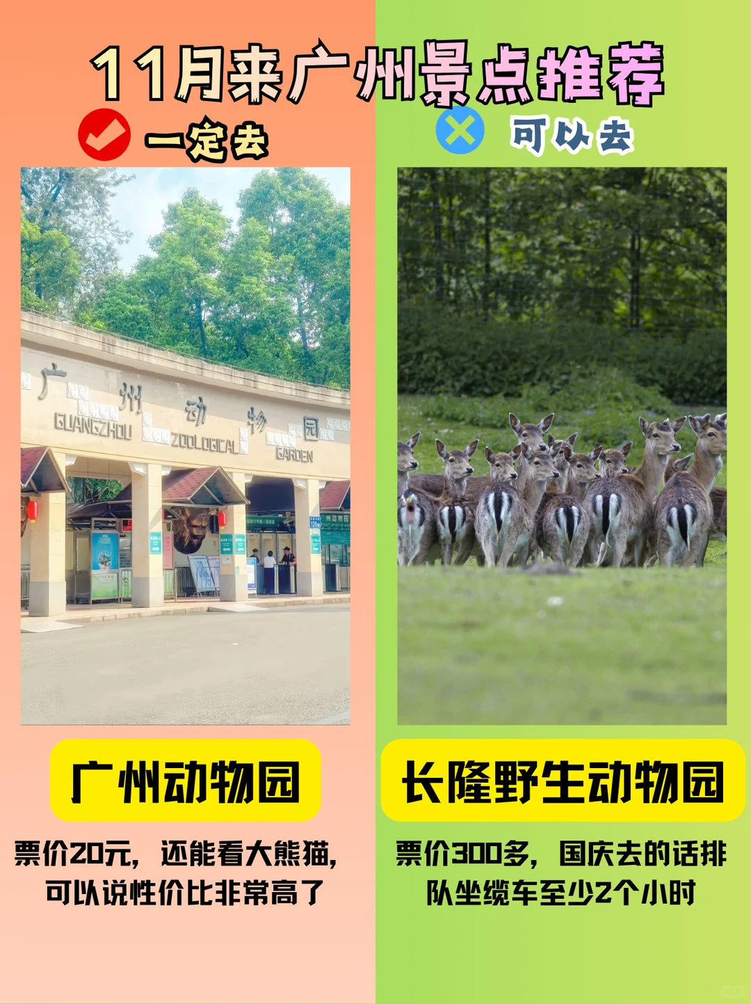 11月来广州旅游，景点推荐+游玩攻略