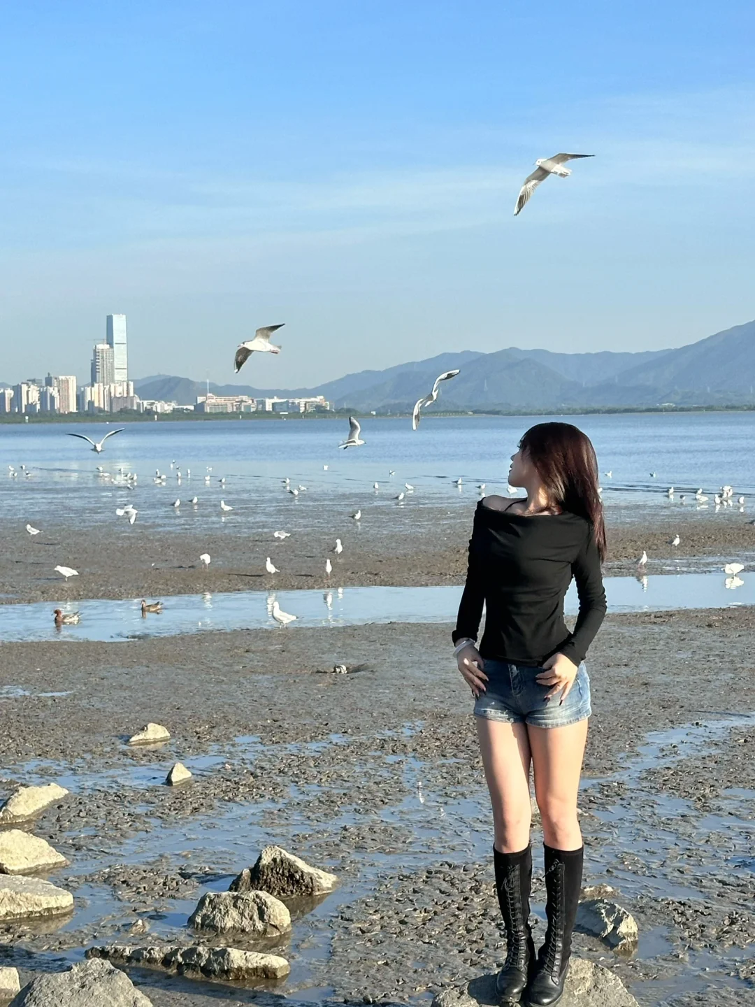 📍深圳湾公园 来看海鸥了