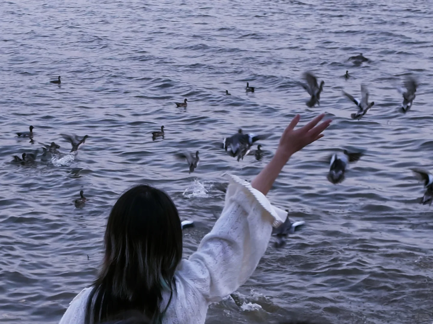 在深圳湾拍了一组神图！！！