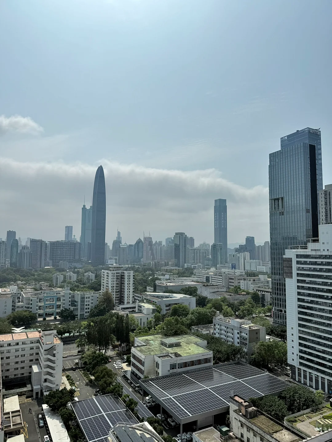 Live｜5.1别去香港人挤人了,来深圳吧！！