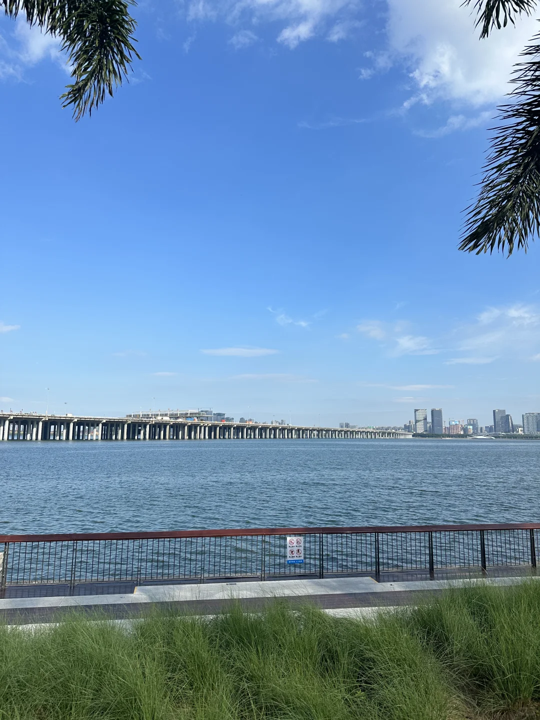 谁懂！真的好爱大深圳的晴天☀️