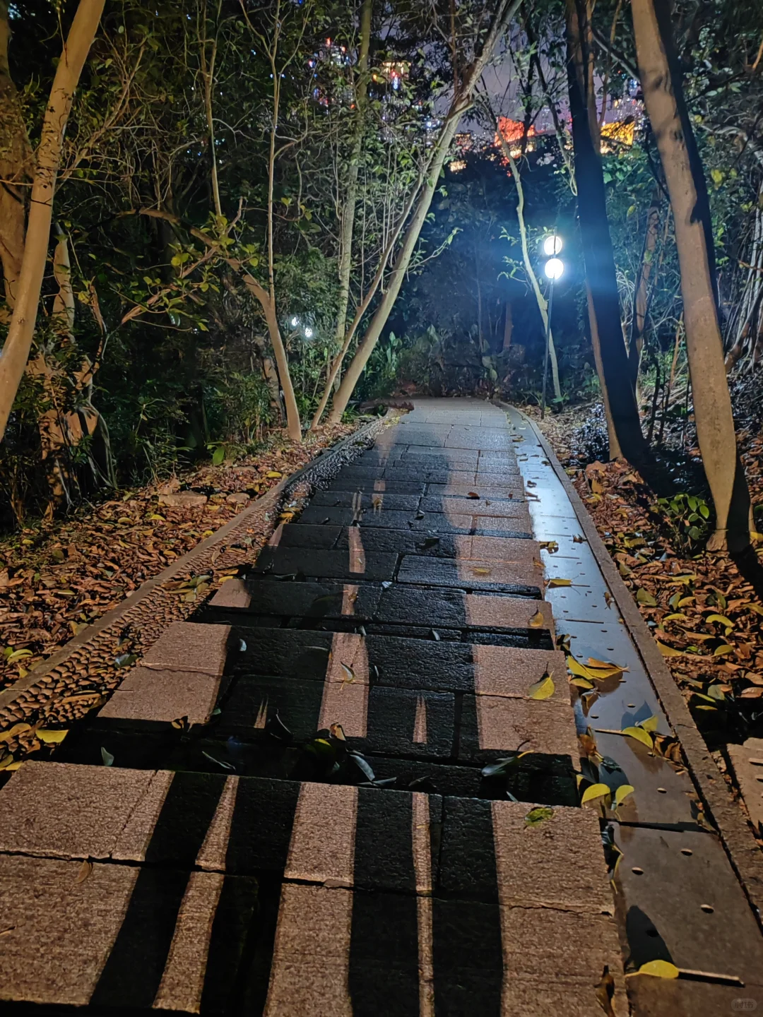在深圳！总要去这看一次夜景吧！