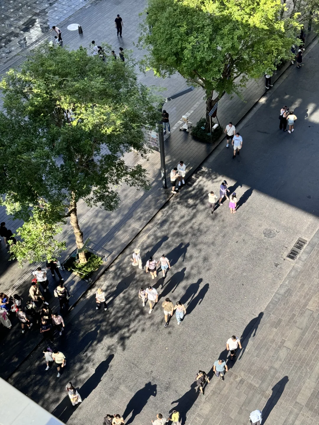 不是曼谷，这是深圳