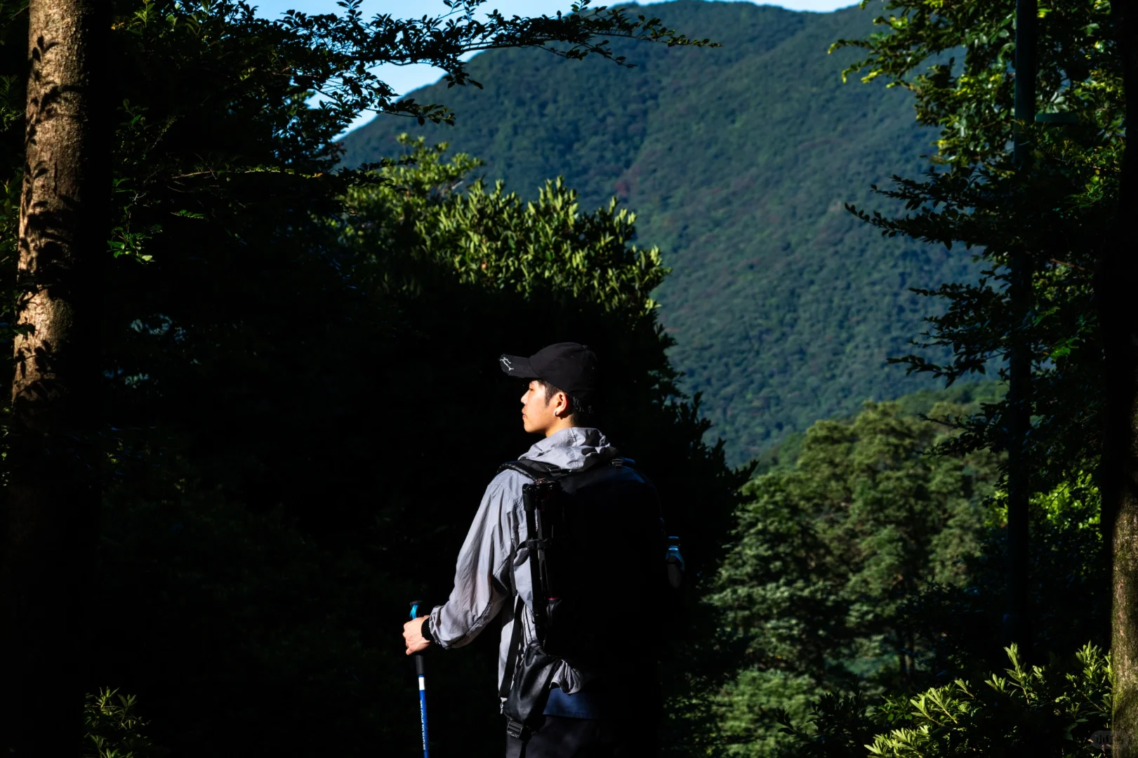在深圳拍到了维港 ，香港第一高楼你敢信