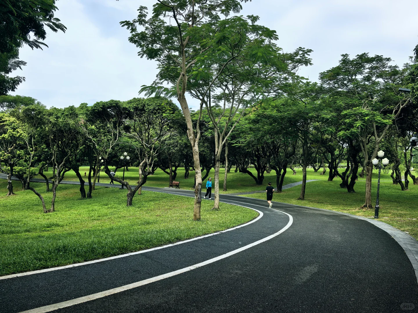 深圳历史最悠久的公园-中山公园