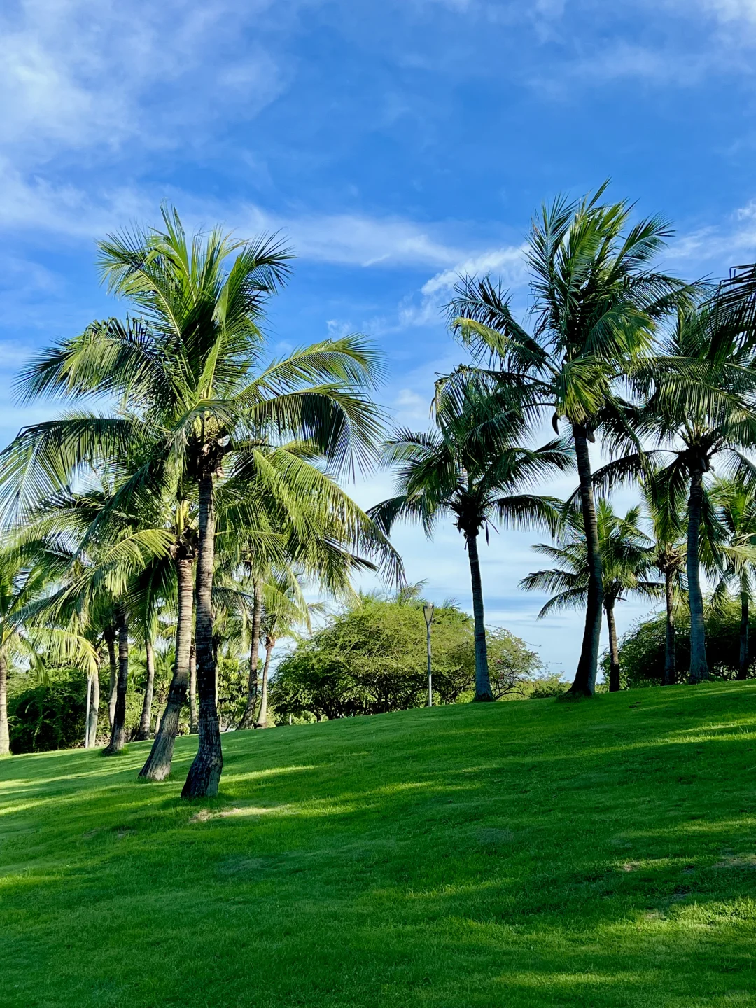 深圳湾看海赏日落超美Citywalk路线（附地图