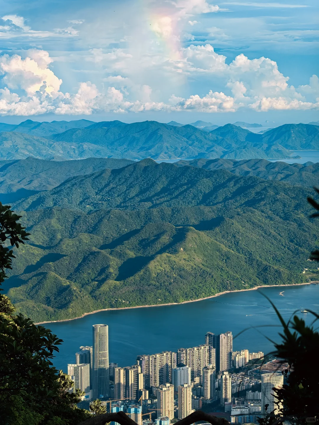 在深圳拍到了维港 ，香港第一高楼你敢信