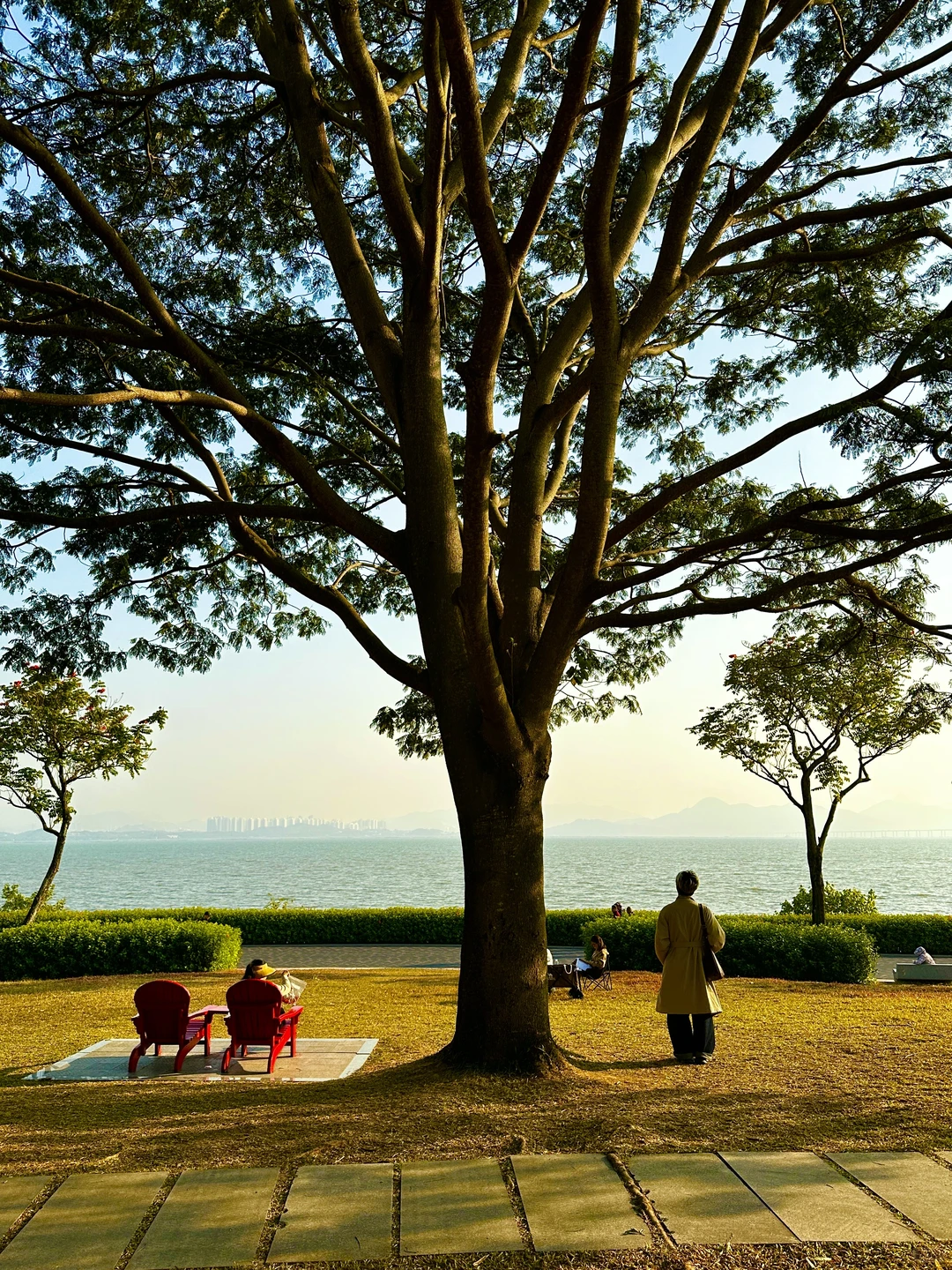 在深圳拍到的18张人生照片📸附地址！