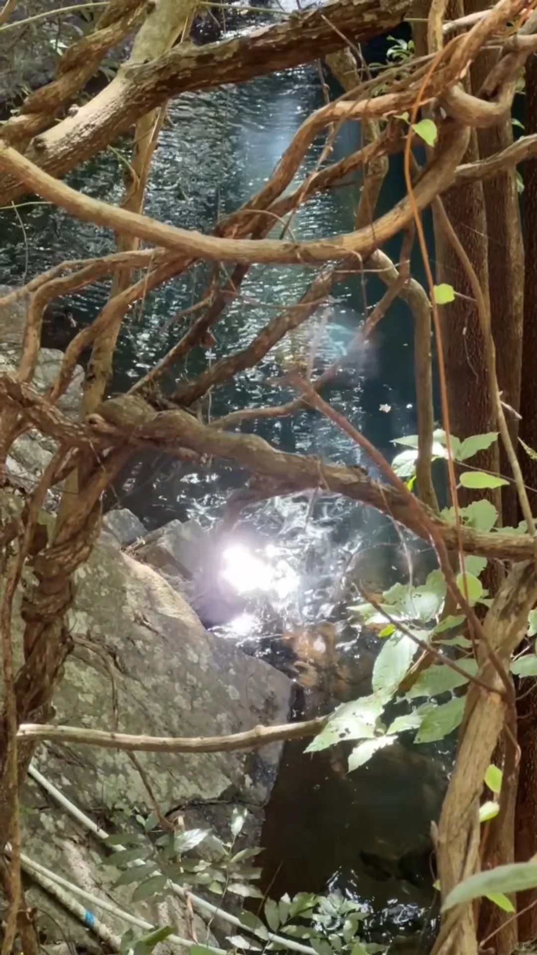 东莞大岭山森林公园｜超野朔溪路线