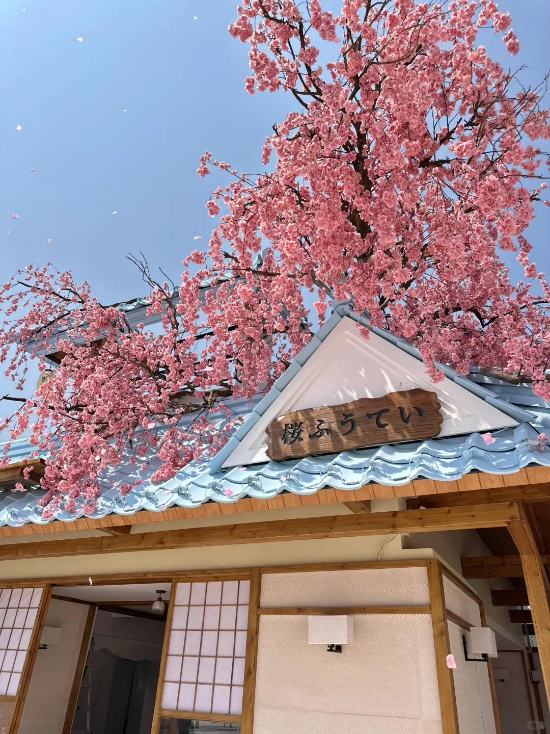 不在国外！！！！在深圳！！！！（live图）