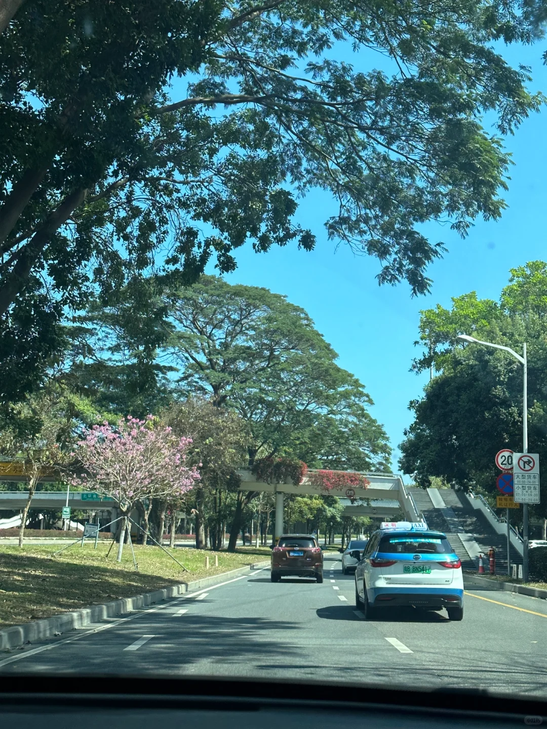 谁懂！真的好爱大深圳的晴天☀️