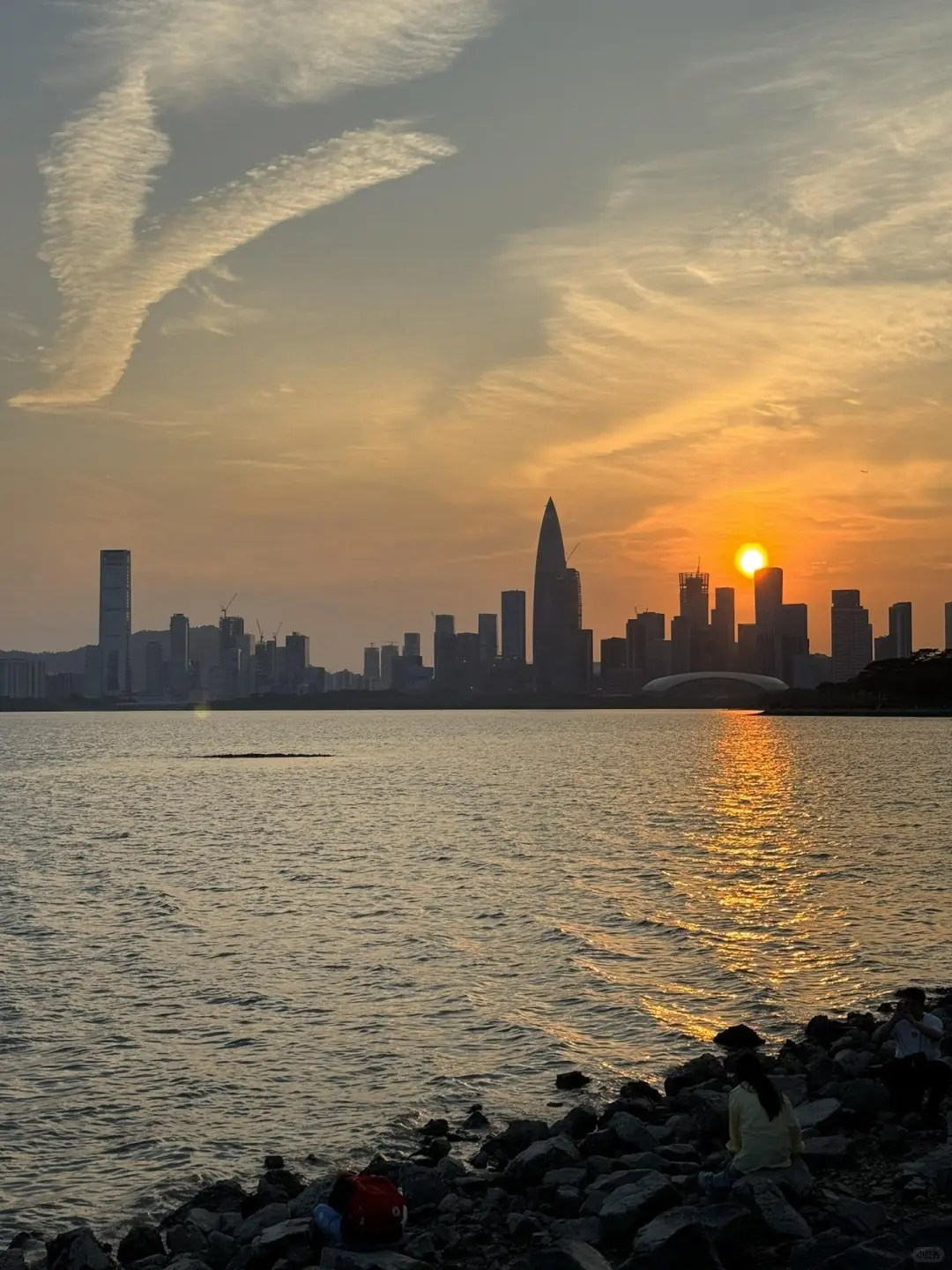 在深圳｜有钱叫深圳，没钱叫深渊🍂