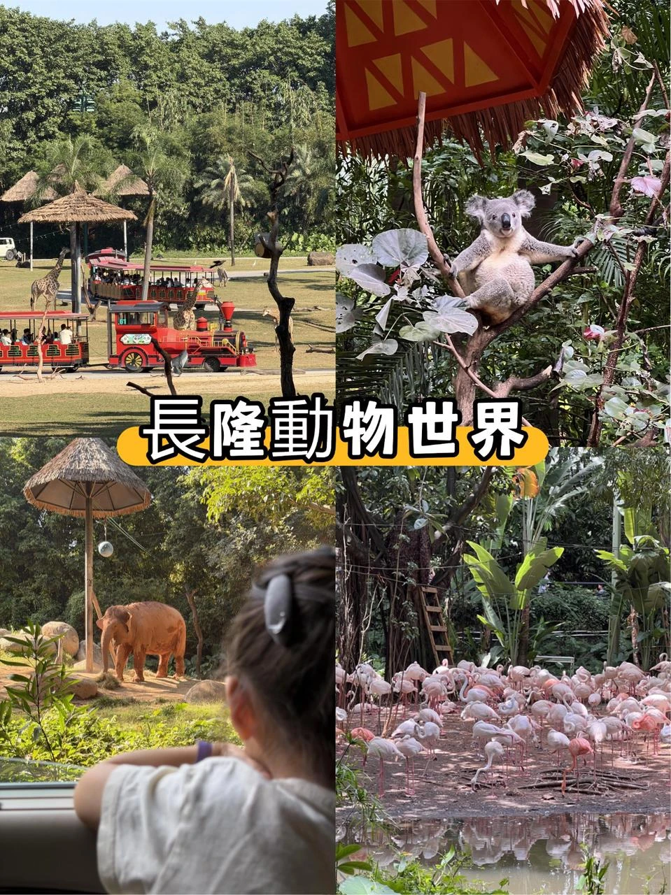 🇲🇾🇸🇬飛廣州，包車遊真的零壓力！