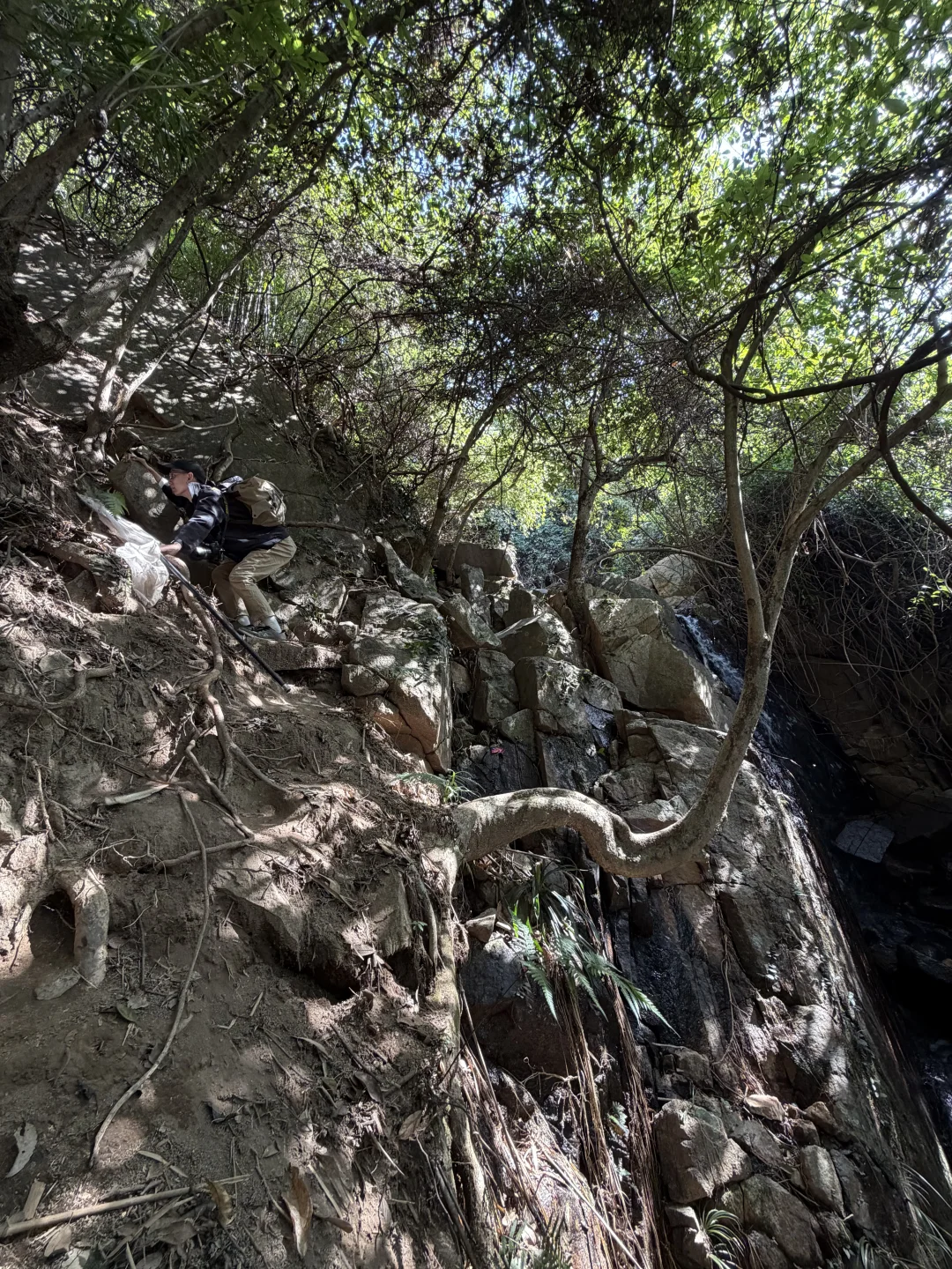 东莞大岭山森林公园｜超野朔溪路线