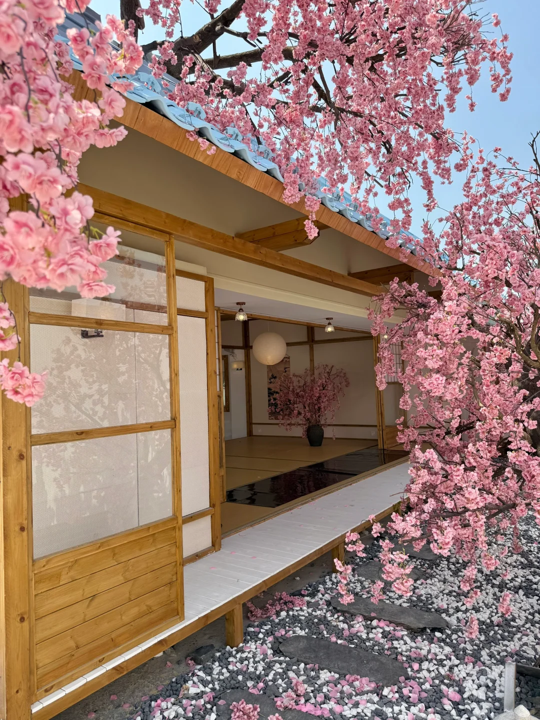 不在国外！！！！在深圳！！！！（live图）