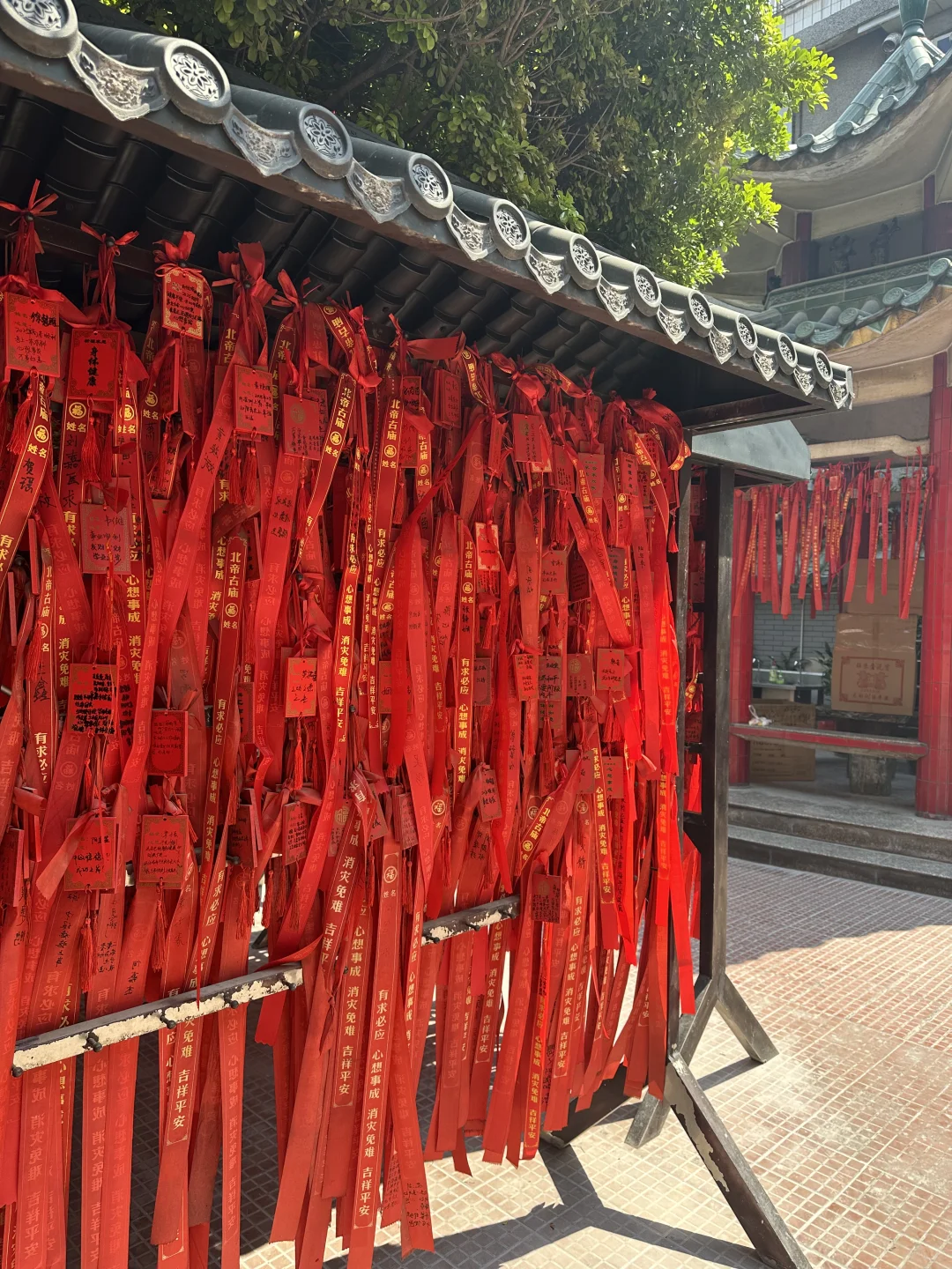 深圳这地方灵气太浓郁了，普通人都能感觉到