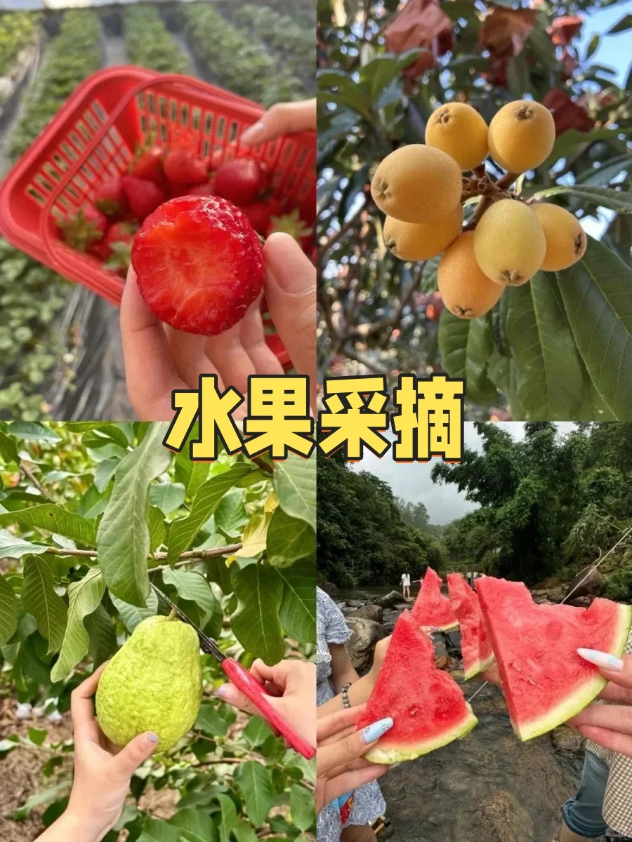 广州从化团建｜山水间的松弛感狂欢🌳