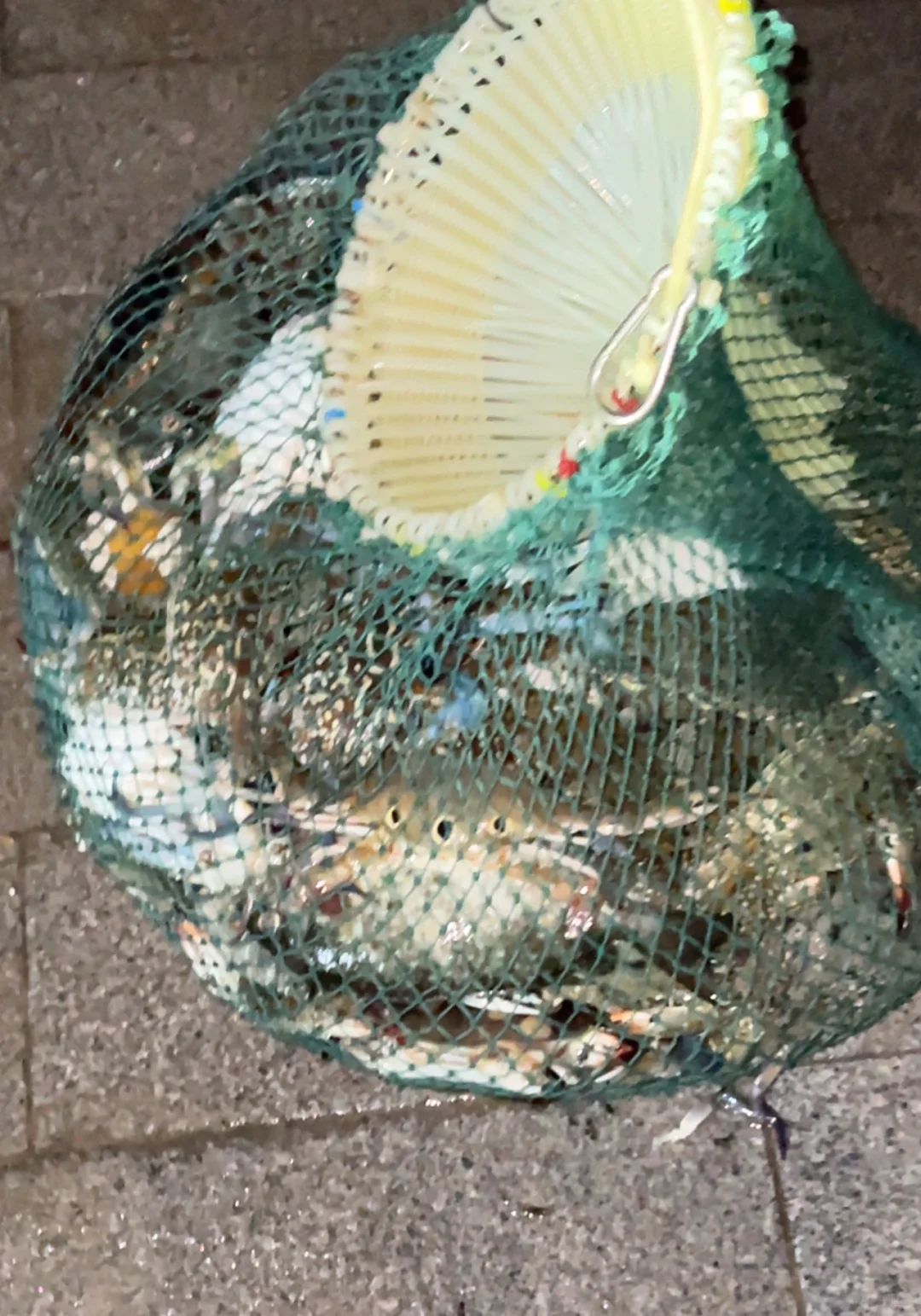 不去人挤人！深圳未开发秘境，超适合赶海！