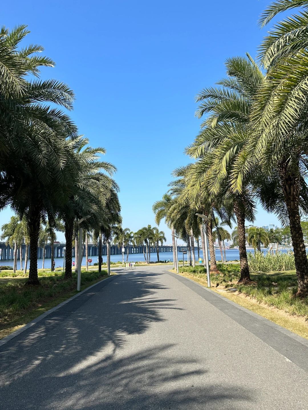 谁懂！真的好爱大深圳的晴天☀️