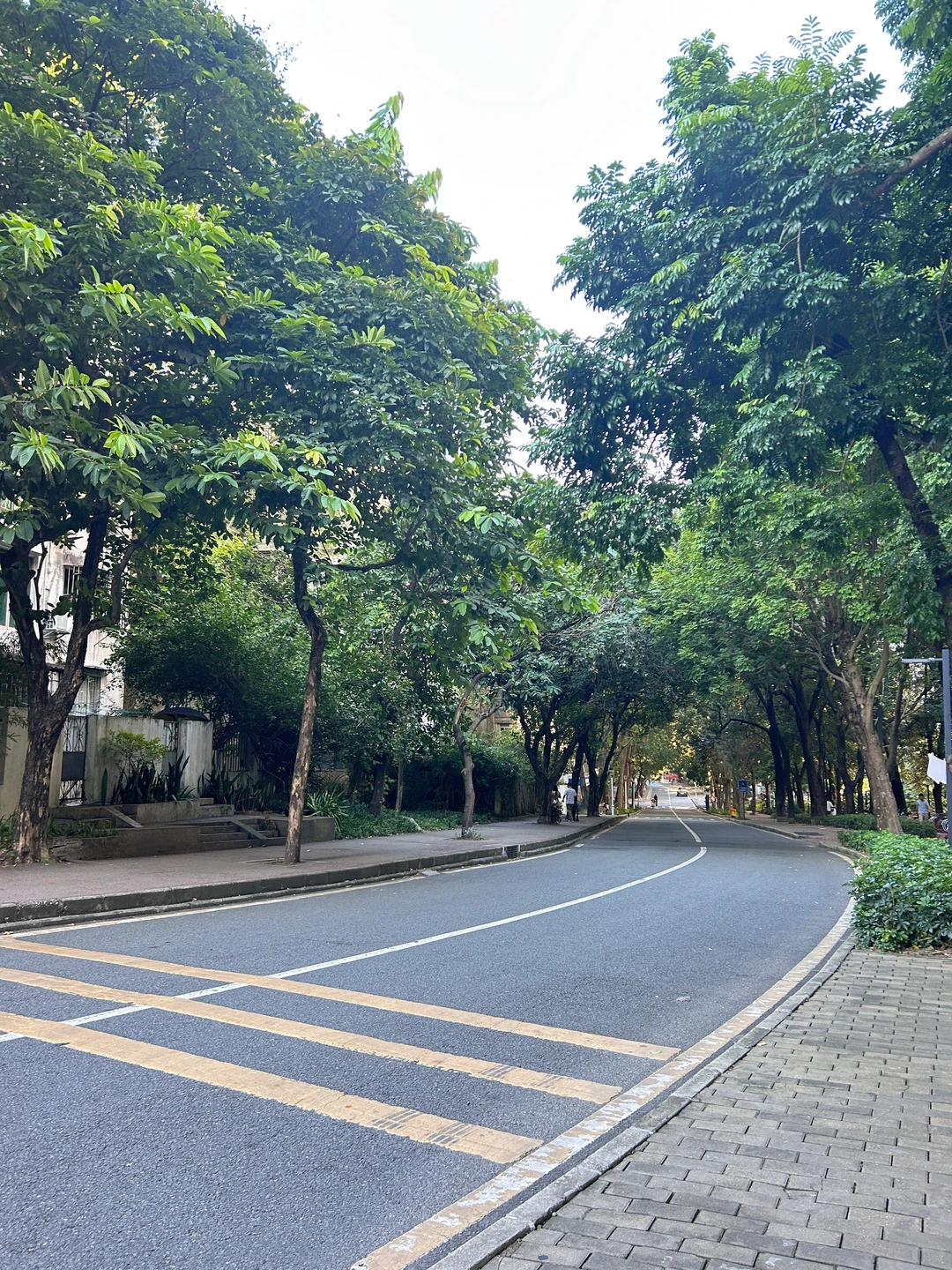📍深圳大学粤海校区骑行