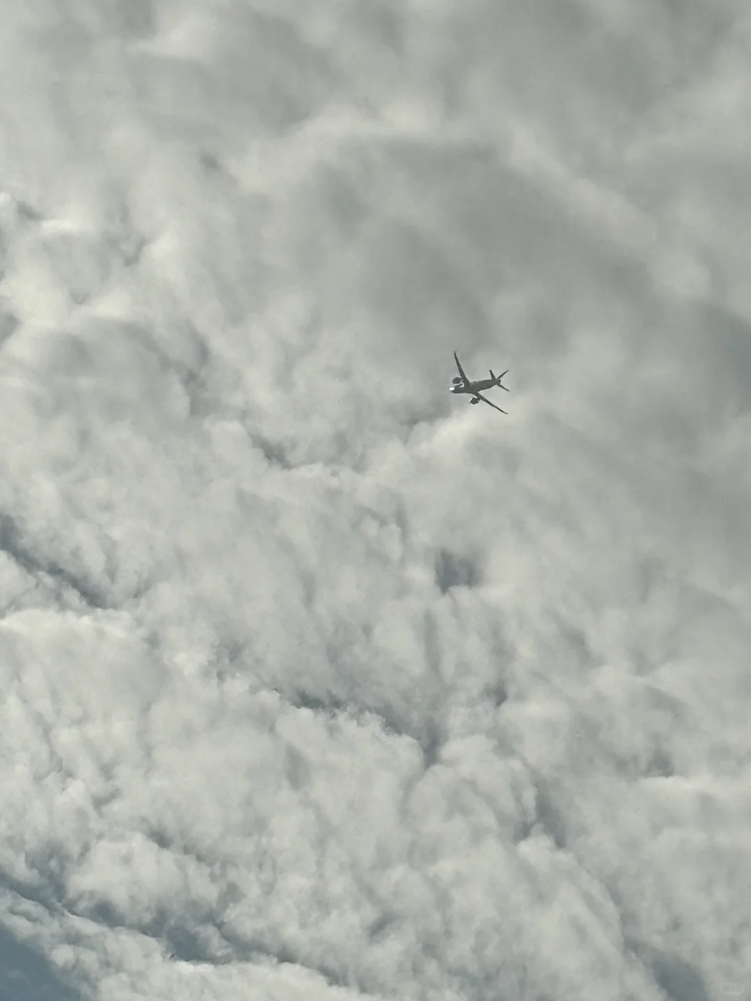 深圳大华兴寺 | 打卡绝美寺庙✨