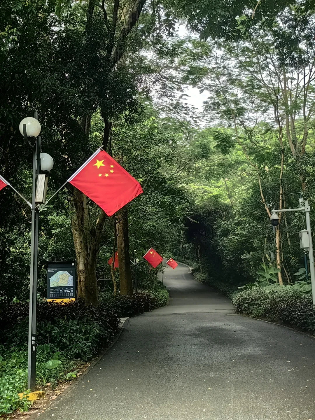 深圳周末好去处