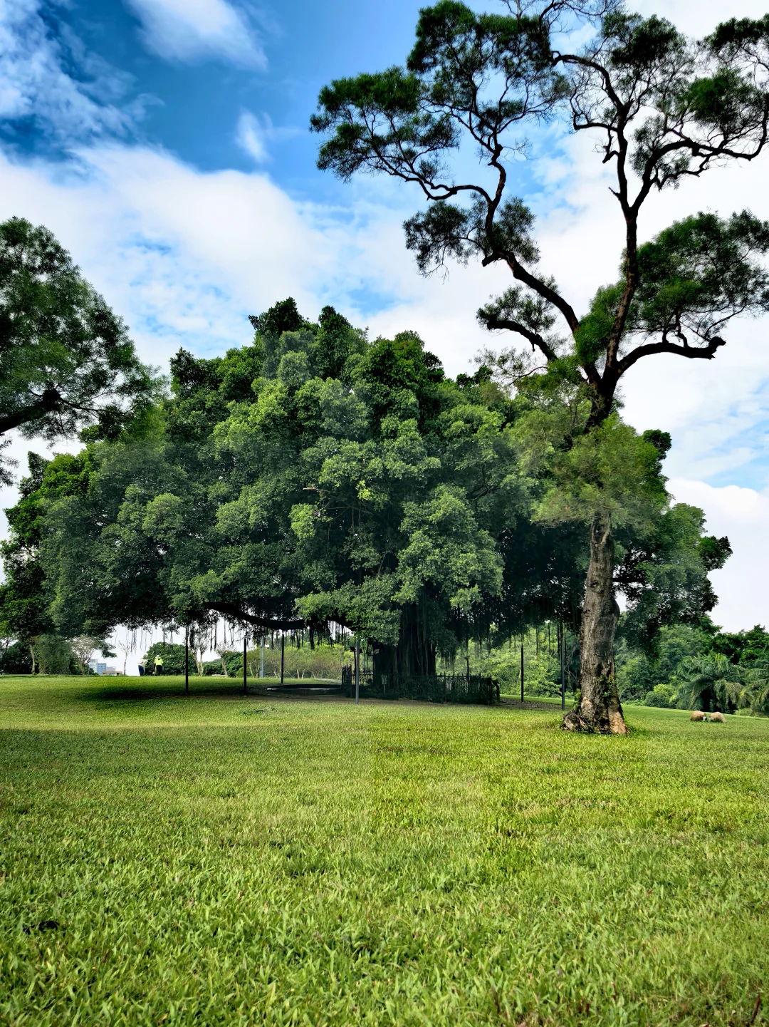 深圳历史最悠久的公园-中山公园