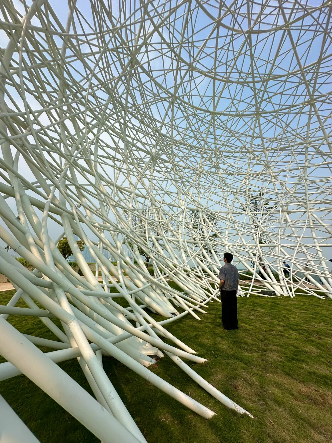 为了这18张图📸我来了趟深圳！！附地址