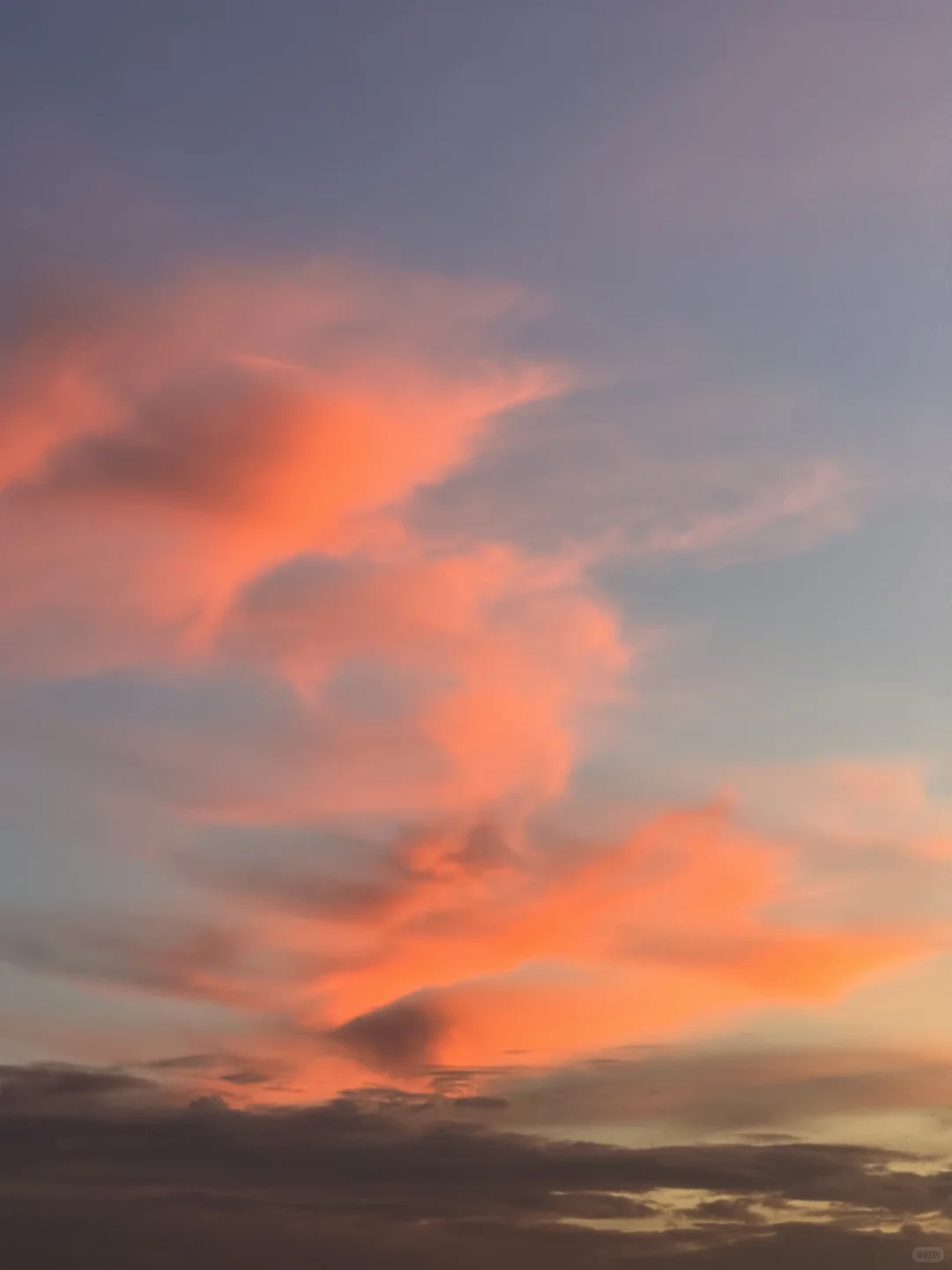 喜欢深圳的9张live图