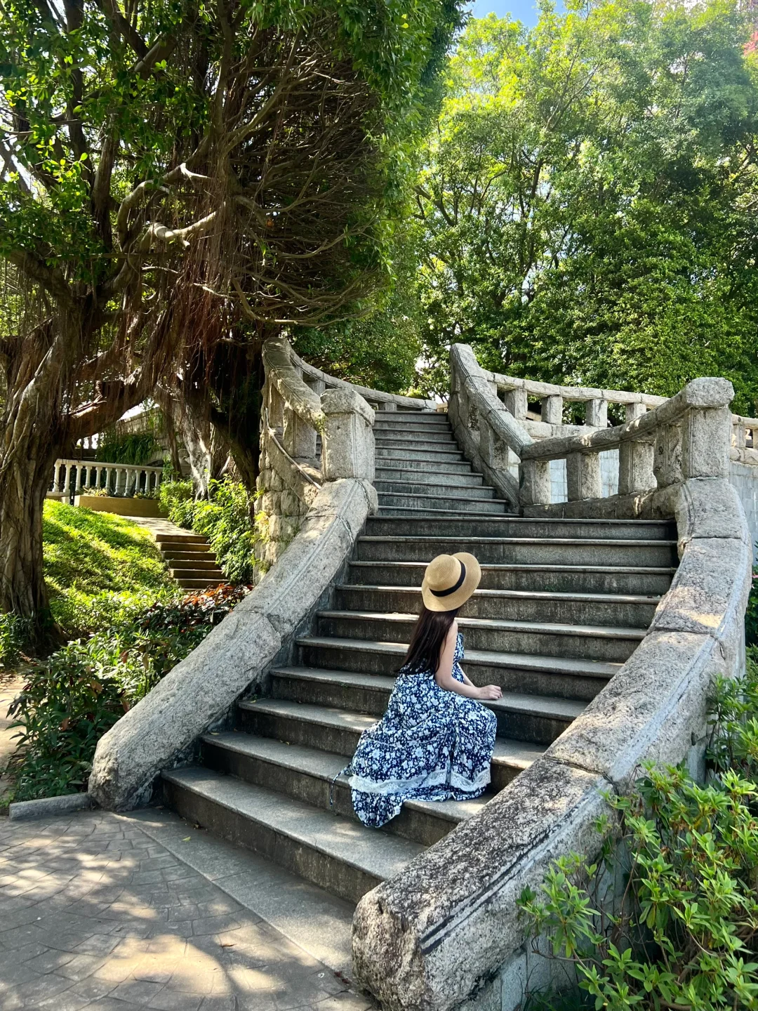 深圳这里！美哭了！快去打卡！！(附机位📷live